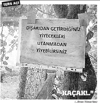 Kadın nefreti!